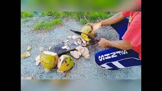 Mukbang ng buko😂😂😂