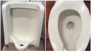 Vintage American Standard Tribor Toilet And Richmond Urinal! (urinal not flushed)