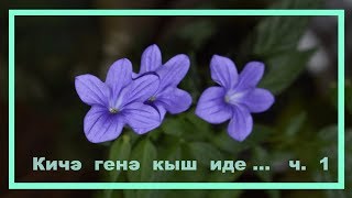 Кичә генә кыш иде...    Беренче  бүлек.