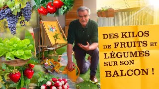 Créer un potager sur son balcon et récolter des kilos de fruits & légumes ! Quoi planter, comment...