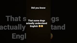 Fun fact 10