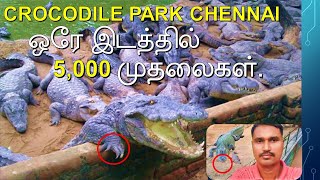 Crocodile Park Chennai 🐊| Madras Crocodile Bank 😲| Happy Journey 2.0