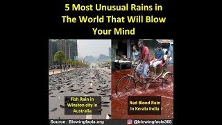 5 Most Unusual Rains in the World That will Blow Your Mind