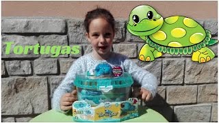 TORTUGAS!Little Live Pets! Giochi preziosi!