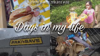 vlog: grocery at Pak ‘N Save + haul + experimenting with Ysabella | Life in New Zealand