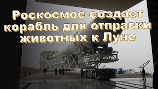 Роскосмос создаст корабль для отправки животных к Луне