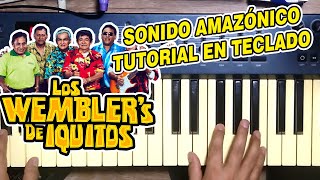 SONIDO AMAZONICO - LOS WEMBLERS (TUTORIAL EN TECLADO)