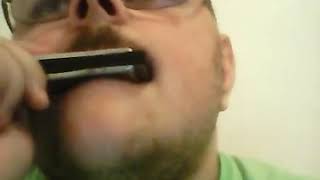 Playing Don't Stop Me Now by Queen on the Harmonica