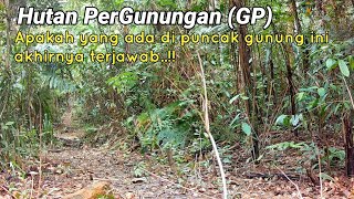 Akhirnya terjawab apa yang ada di puncak gunung GP | Edisi Hidupan Liar.