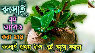 Bonsai Making From Branch Cutting step by step | How to make ficus bonsai easily at home /NATUREfarm