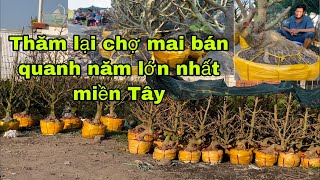 Đi chợ mai tìm cây củ đế đẹp,về cắt lùn lực chia sẽ ace