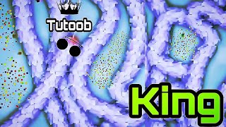 Snake io | I became a king today with my pro player hunt skills