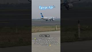 Egypt Air ✈️ Airbus 320 #shortsvideo #aviation #airbus