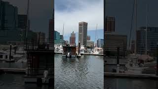 Lovely Baltimore/ Inner Harbor/ yachts @YarandSvyat #usa #baltimore #сша #innerharbor #yachts