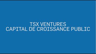 Panel 5: TSX Ventures et capital de croissance public