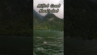 Cruising through Milford Sound,  New Zealand #shorts #cruise #travel