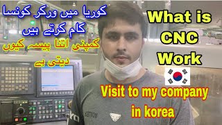 Foreigners How To Work in South Korea  | Visit To My Company in South Korea | Set Pakistan ABTC