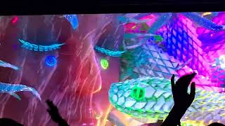 Mickman & Fractaled Visions Tipper & Friends Homecoming Suwannee 2022 4K 60 FPS