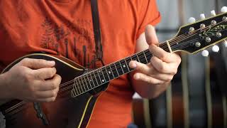 Morrison's Jig: Play Along Jam - Mandolin Lesson