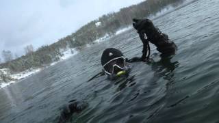 ice diving