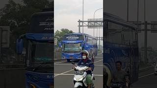 Klakson Telolet Basuri Ala Bus Blue Ocean//BS Guvilli #basuri #busmania #shorts