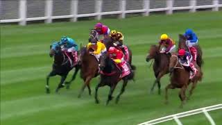 2021 Cox Plate - State of Rest