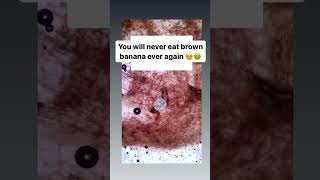 Brown banana #banana #microscope #trending #physics #viral #youtubeshorts #experiment #learnandfun