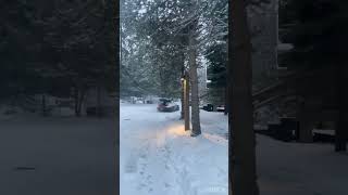 How to park a Porsche 911 in Whistler ⛷❄️🏔