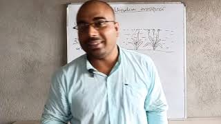 2. পরাগযোগ এর বাহক agents in pollination class12 ch2