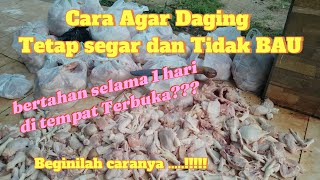 Cara Menjaga Daging Ayam Tetap Segar dan Tidak Bau selama 1 Hari @KarilArdiansyahDaiRil