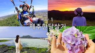 제주브이로그🍊| 뚜벅이로 제주도 한달살기 둘째주 🪂| 5월 제주 | 동생이랑 제주여행 | 함덕 패러글라이딩 | 아부오름 노을 | 금능리 맛집&카페 | 휴애리 수국축제