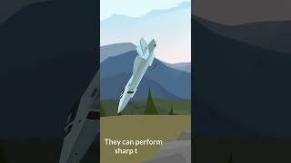 How fighter jets fly differently than airplanes?  #fighterjet #drdo #shorts #viralvideo #shortvideo