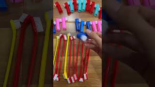 Pet Finger Toothbrush Set