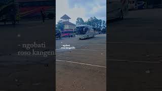 BUS RANAU INDAH #shorts #ranauindah