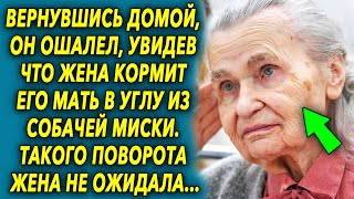 Вернувшись домой, мужчина впал в ступор, увидев как супруга поступила с его мамой…