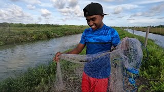 Cast Net Fishing for Snook in Berbice Guyana