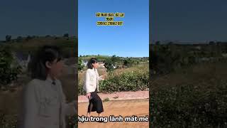 Đất Nam Ban- Đà Lạt chỉ 950tr !#thanhhuongbdsnghiduongdalat #bdsvendalat