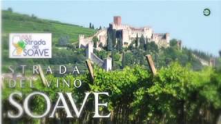 strada del soave  cucina e tradizione Veneto