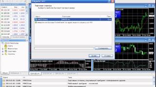 Скачать и установить торговый терминал Metatrader 4