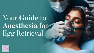 Your Guide to Anesthesia for Egg Retrieval