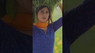 Zard patton ka bunn ❤️🥰 #zardpattonkabunn #sajalali #hamzasohail #humtv #shorts