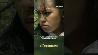 Wiro Sableng Suka Dengan Penjahat #wirosableng #wirosableng212 #kenken #sintogendeng #shorts