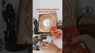 @SonyaTaros  #таро #бумеранг #tarot #таролог #гадание #тароонлайн #sonyataros #магия #гаданиетаро