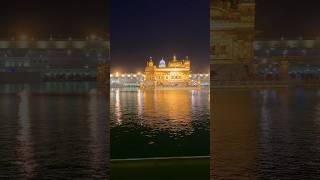 Golden indeed #shortsfeed #ytshorts #amritsar #sriharmandirsahib