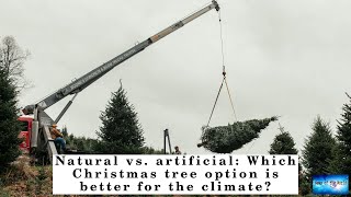 Natural vs. artificial: Which Christmas tree option is better for the climate?