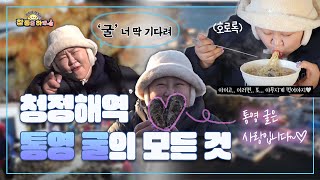 [라이프 매거진 참 좋은 하루] 청정해역 통영 굴의 모든 것 | 홍윤화의 핫플 공개수배🚨