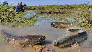 wow fishing on the road,  catch bg fish by hand skill fisherman