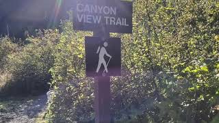 North Island Trails - Canyon View Trail in Campbell River