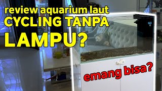 Cycling Gak Pake Lampu & Skimmer | Review Aquadream BTC 4000 LPH di Peninsula Reeftank