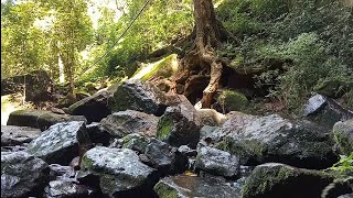 Fazenda rural Invernada trilhando caminho inteiro até a cachoeira - Visão da Natureza 🌱